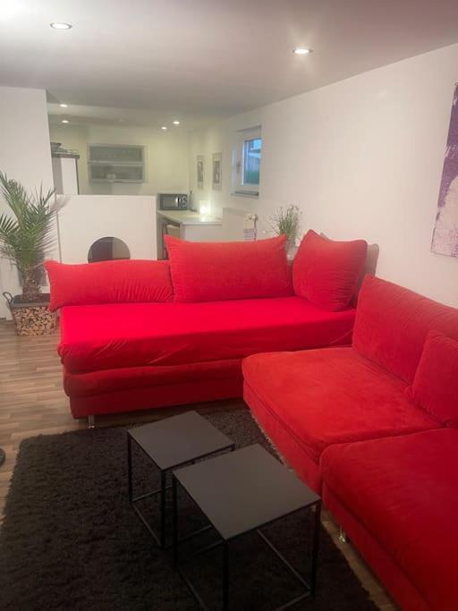 Gemuetliches Einliegerapartment, 50 Qm Trippstadt Dış mekan fotoğraf