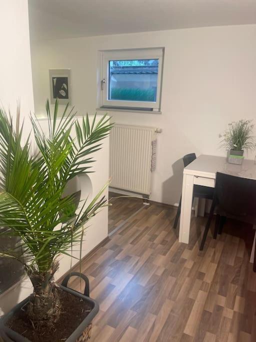 Gemuetliches Einliegerapartment, 50 Qm Trippstadt Dış mekan fotoğraf